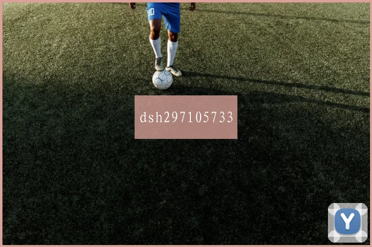 dsh297105733