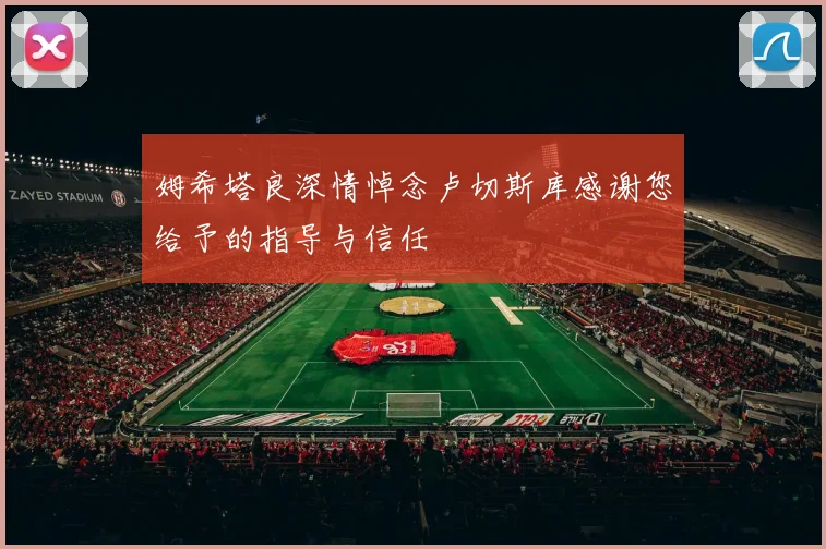 姆希塔良深情悼念卢切斯库感谢您给予的指导与信任