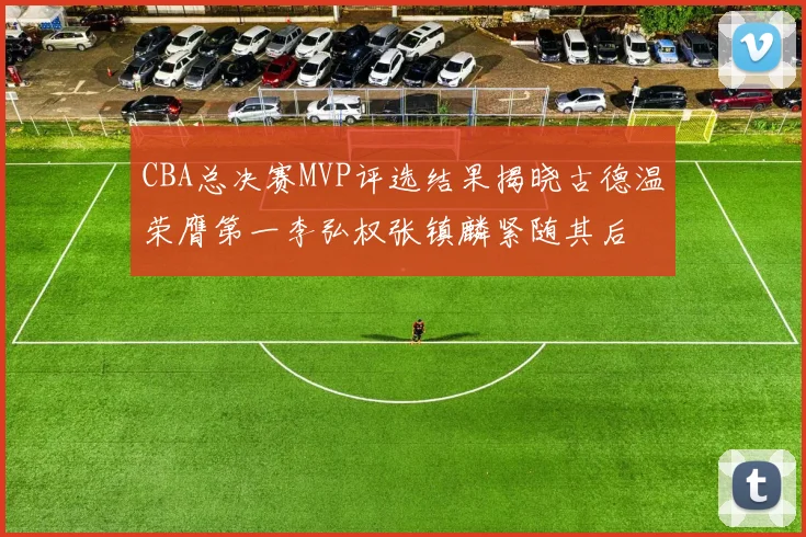 CBA总决赛MVP评选结果揭晓古德温荣膺第一李弘权张镇麟紧随其后