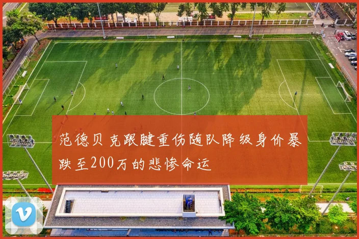 范德贝克跟腱重伤随队降级身价暴跌至200万的悲惨命运
