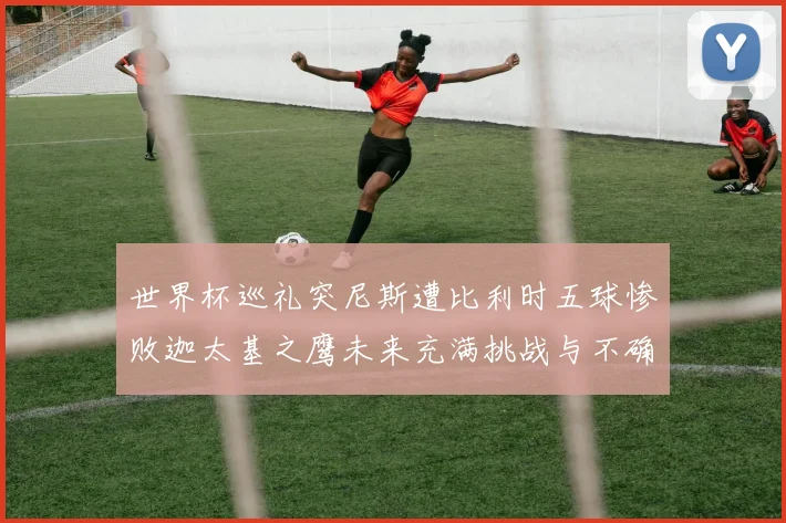 世界杯巡礼突尼斯遭比利时五球惨败迦太基之鹰未来充满挑战与不确定性